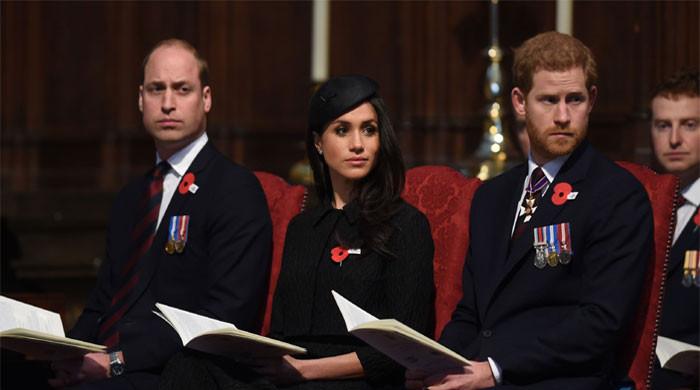 Meghan Markle releases statement as Prince Harry set to 'infuriate' William: 'Sleepless nights'