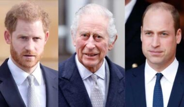 Prince Harry faces discrimination against Prince William after King's hospital stay