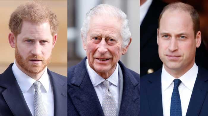 Prince Harry faces discrimination against Prince William after King's hospital stay