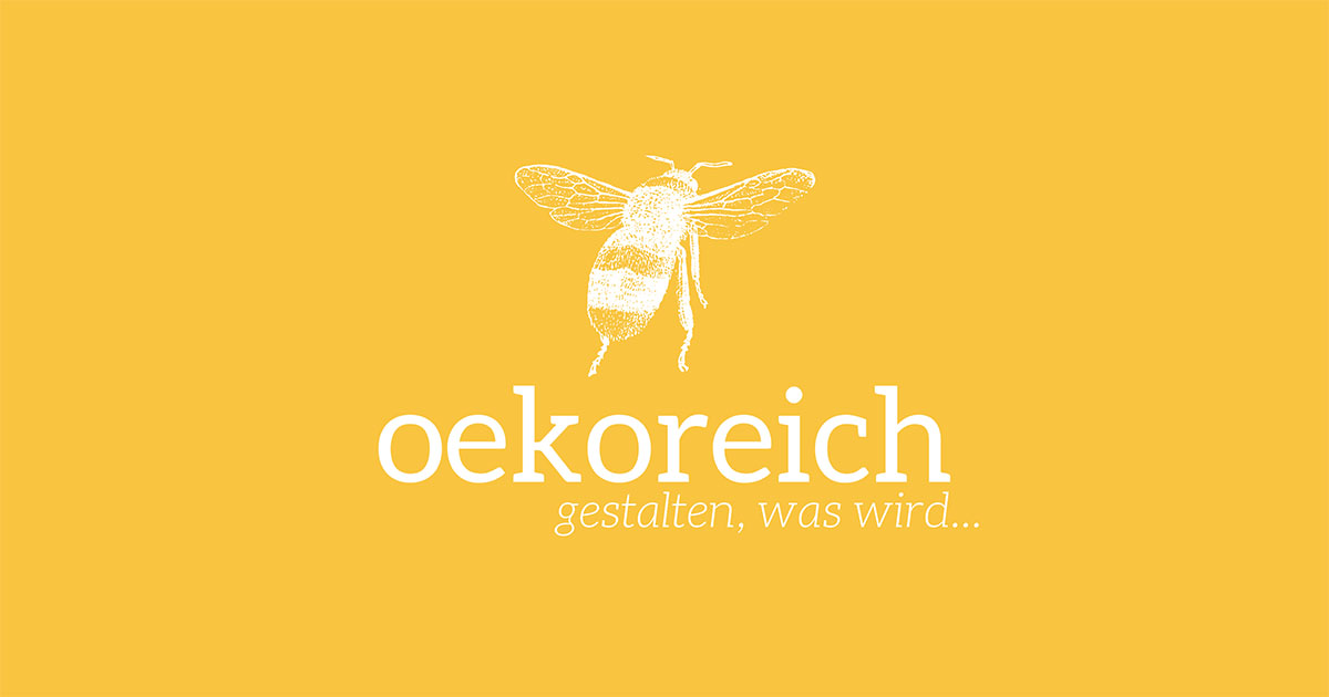 Elektroautos: Katastrophale Entwicklung in Österreich