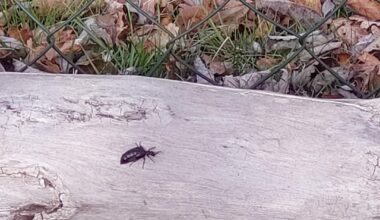 Wisst ihr was das ist?