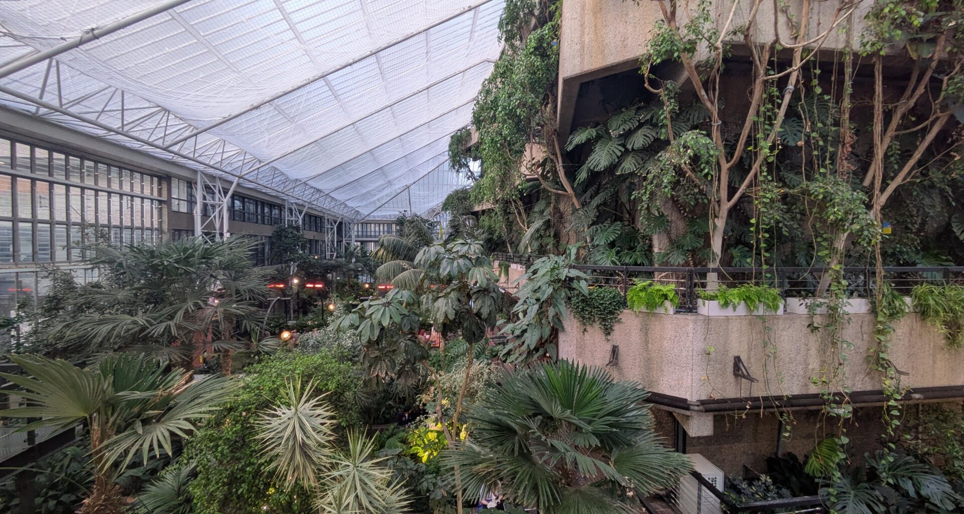 I visited the Barbican conservatory yesterday!