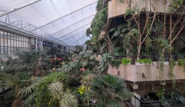 I visited the Barbican conservatory yesterday!