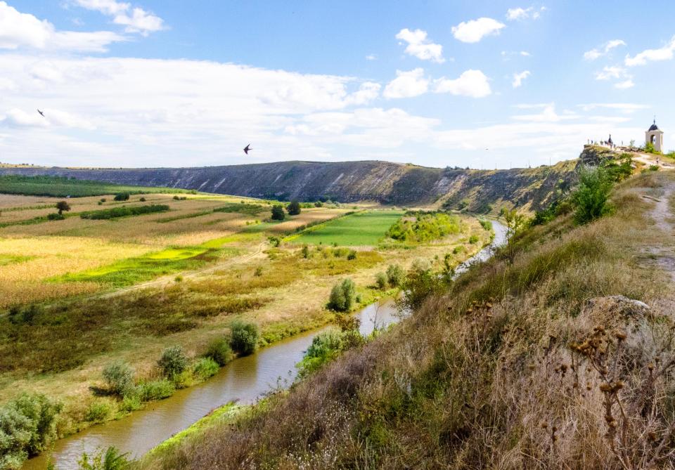 a bird flies over a river in a valley