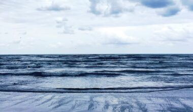 Can the Caspian Sea be Saved from turning into an environmental Disaster?