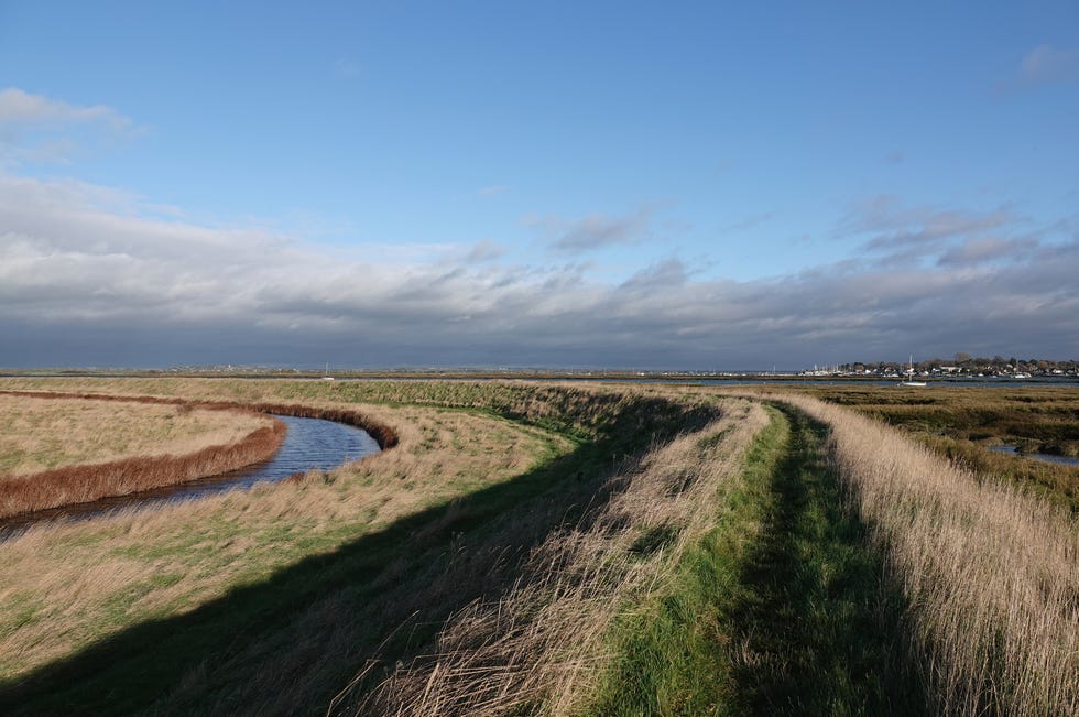 a beautiful sunny shot of a footpath through a rural landscape with mersea island, essex, uk in the distance.