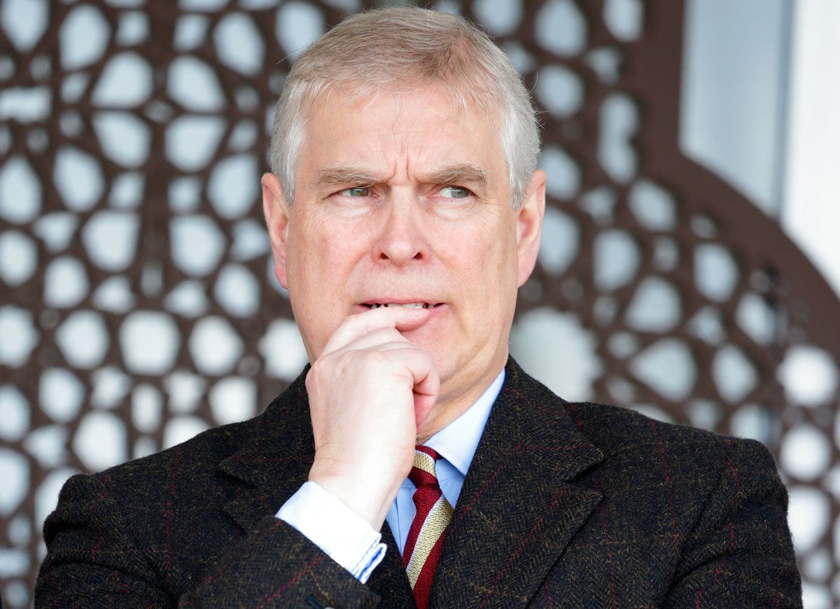 Prince Andrews Demands Servants Organize His Collection Of 72 Teddy Bears Every Day, New Book Claims