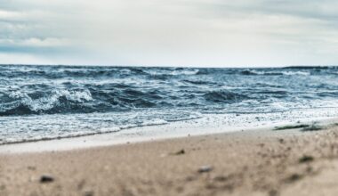 Cum „dispar” 1 milion de turiști care vin anual în România, dar nu apar în cifre. „Suntem încă sub potențial, ca țară”