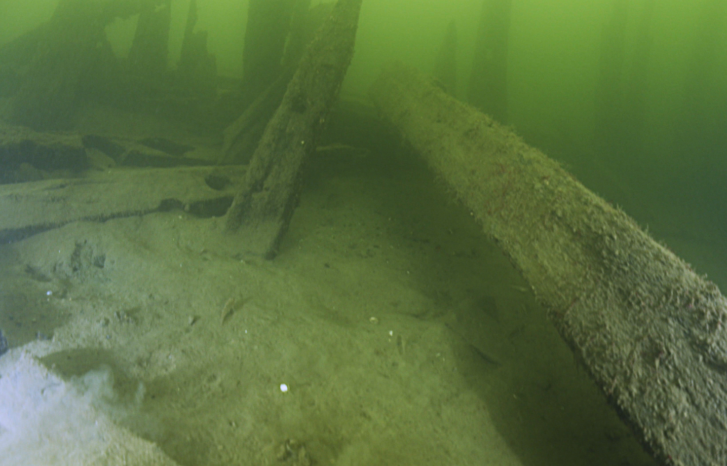 Medieval Shipwreck Discovered in Sweden Could Be Oldest of Its Kind