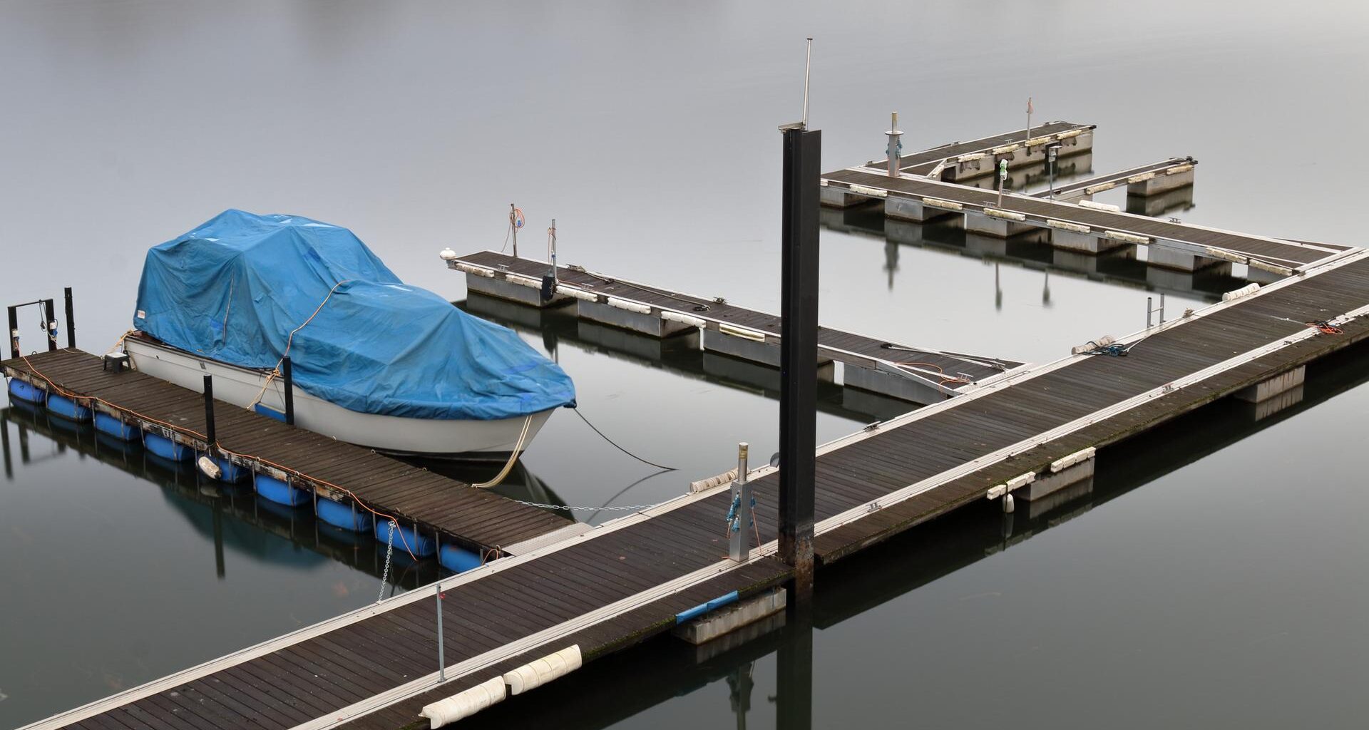 Rhein verunreinigt: Milchige Flüssigkeit im Schiersteiner Hafen ➤ Hessen am Morgen: Die Nachrichten im Ticker | hessenschau.de