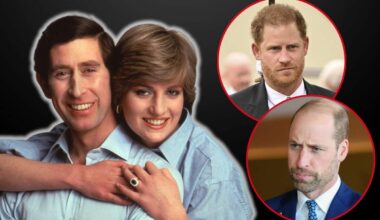 The Latest News About Charles III and Lady Di Will Cause Pain to William and Harry