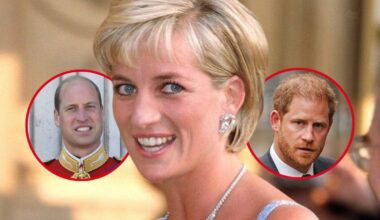 William Should Call Harry After What Lady Di's Lover Just Declared