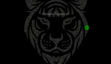 [OC] DBSCAN Clustering Creates a Tiger 
Image data generated via Python, OpenCV
DBSCAN clustering brings data to life! This vibrant tiger emerges from density-based clustering, where points dynamically form structured patterns. A mesmerizing blend of AI and visualization!