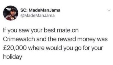 Where you want to go for holiday?