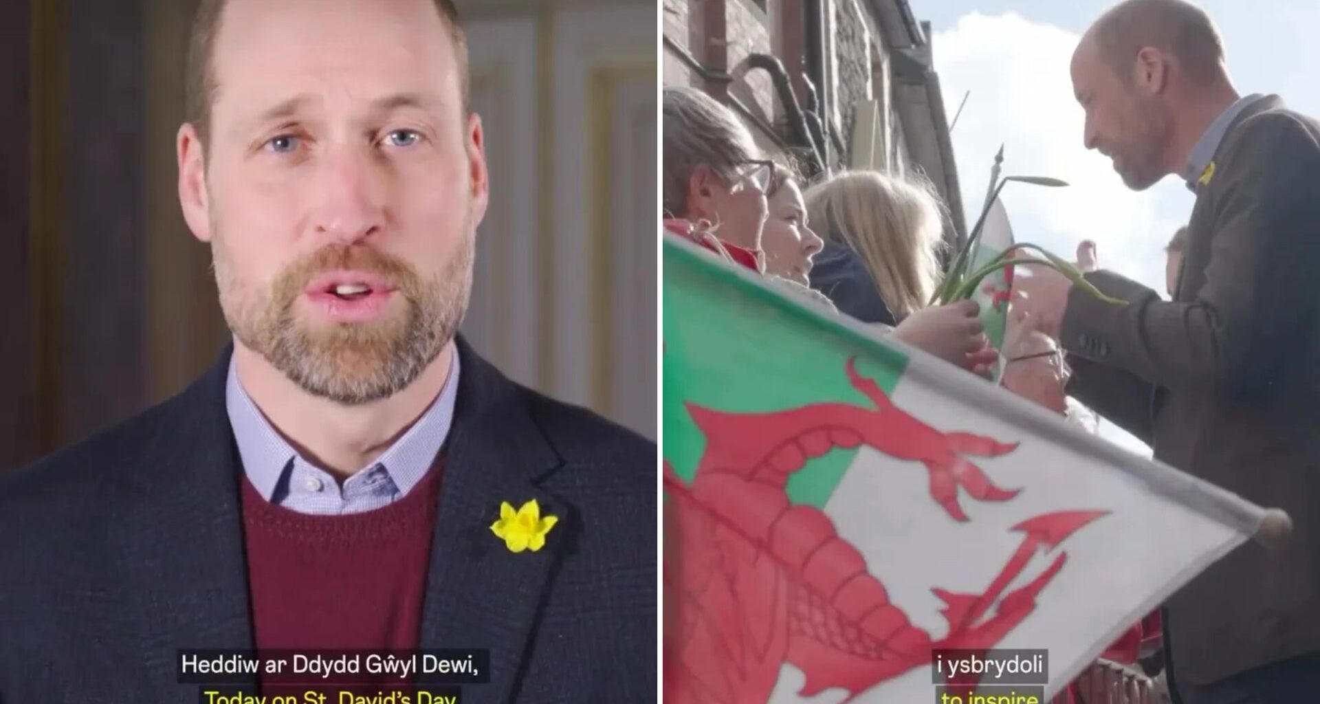 Prince William speaks Welsh in video to mark St David's Day after visiting country with Kate