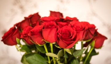 King Charles' gardener shares which flowers to avoid this Mother's Day & why you must not buy them from the supermarket