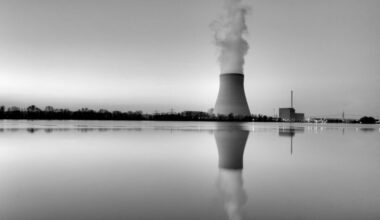 Belarus requests second nuclear power plant from Russia