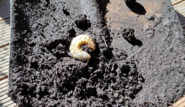 Was haben wir hier gefunden?