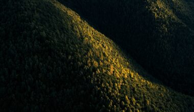Northvolt files for bankruptcy in Sweden