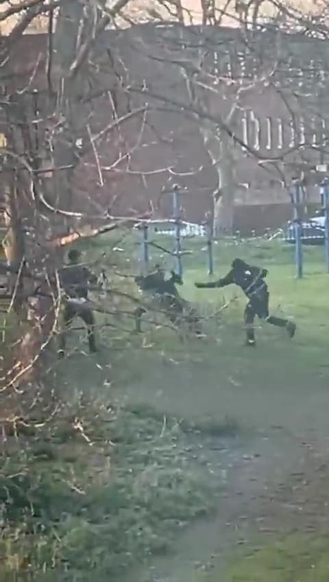 Machetes wielded in broad daylight — yet we ignore the causes of London knife crime