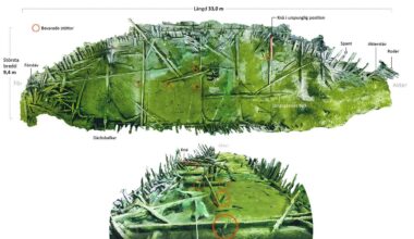 Oldest carvel-built ship in Nordic region discovered in Sweden