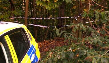 Boy, 14, 'repeatedly stabbed' girl, 13, with 'fearsome' sword during camping trip near Hull