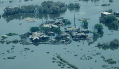 LMICs ‘should turn to EU, China’ after US climate exit