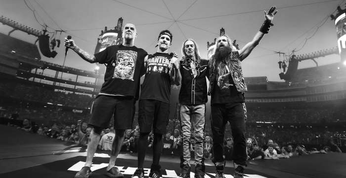 pantera 24