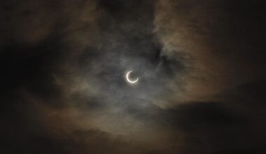 Partial solar eclipse.