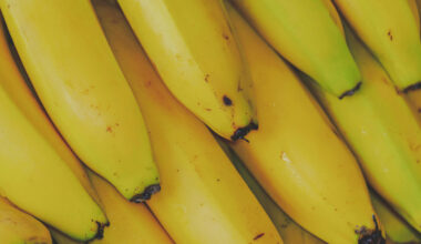 Climate change threatens future of banana export industry