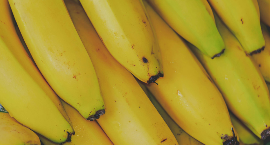 Climate change threatens future of banana export industry