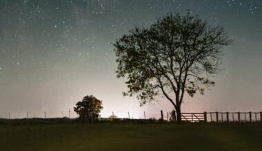 World Travel Inc. Partners with Paramek to Launch Technology Center in Uruguay