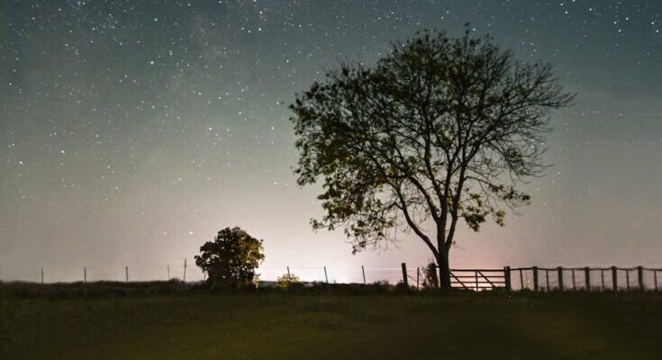 World Travel Inc. Partners with Paramek to Launch Technology Center in Uruguay