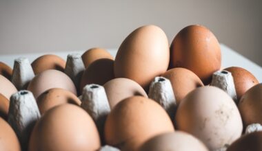 Trending News Live Today March 17, 2025: Finland refuses to export eggs to the US, Reddit says ‘Trump diplomacy at play’