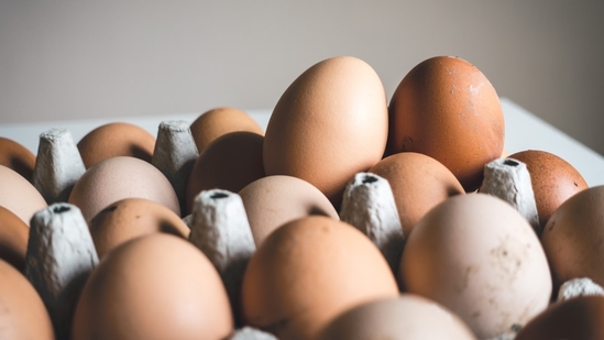 Latest news on March 17, 2025: Egg prices in the US are shattering records amid an outbreak of bird flu (Representational image) Latest news on March 17, 2025: Egg prices in the US are shattering records amid an outbreak of bird flu (Representational image)
