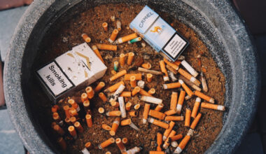 Bulgaria: Cigarette Prices in Bulgaria to Rise by 50 Stotinki Starting in May