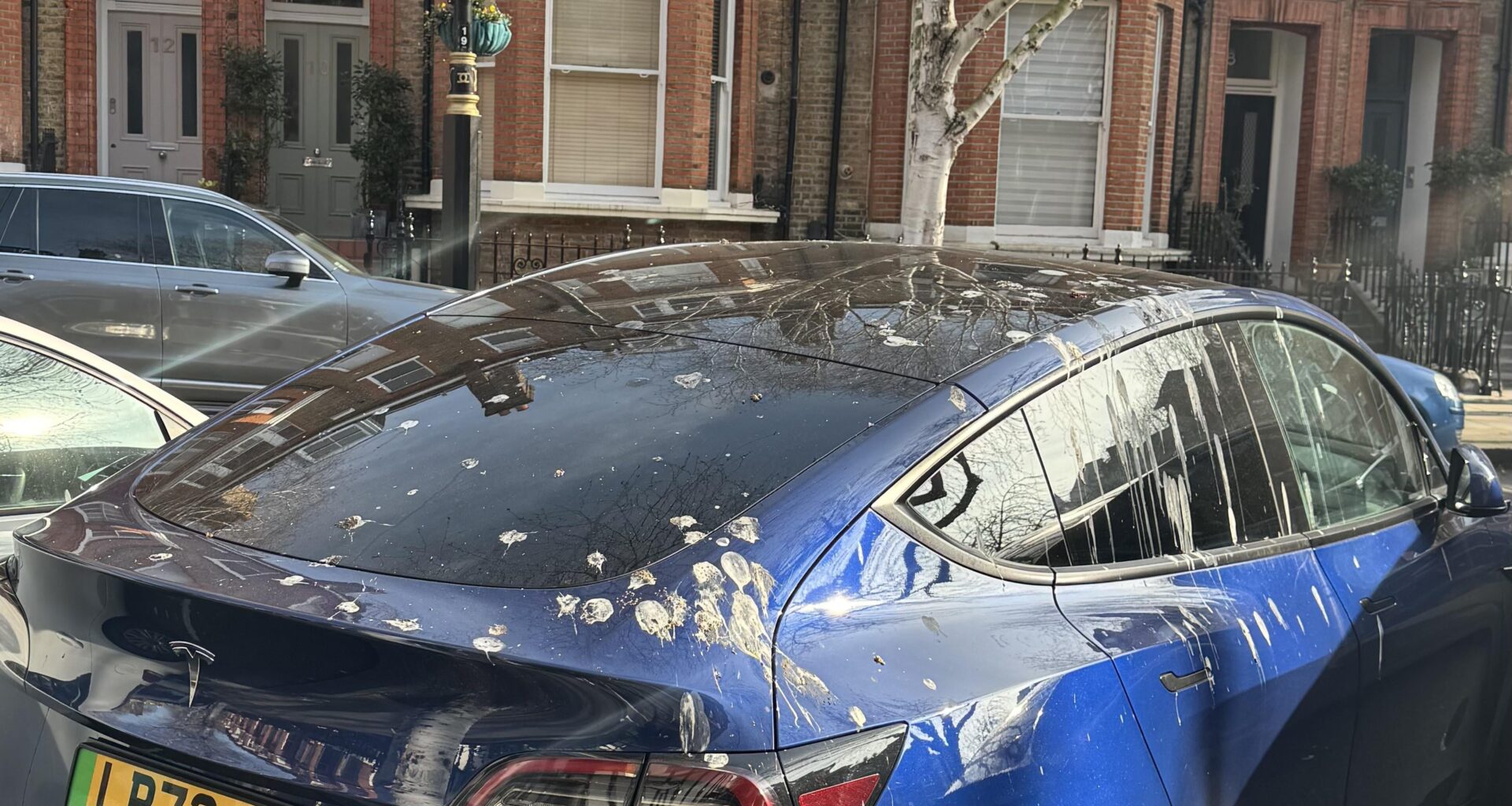 Even the pigeons are protesting.