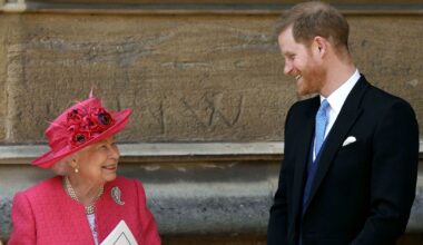 Queen Elizabeth Was "Picking Up Dead Birds" When Prince Harry Asked for Her Blessing