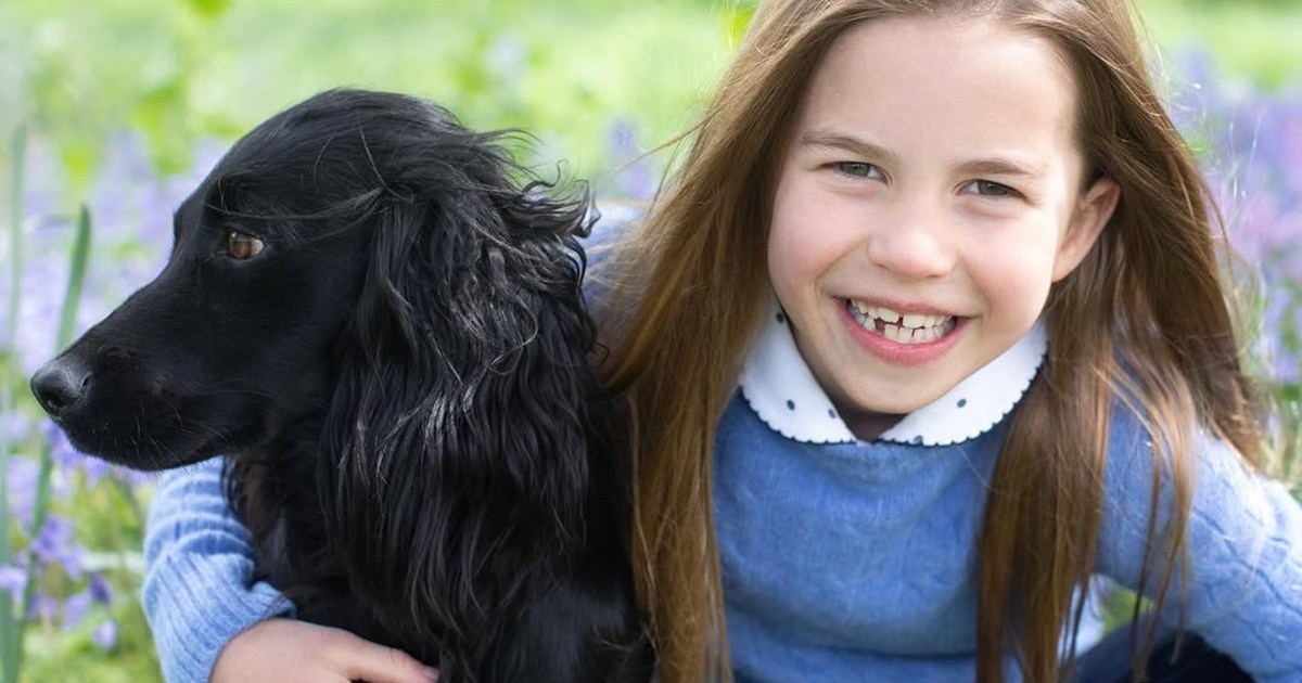 Prince William and Kate Middleton's Dog Orla: Age, Breed & More