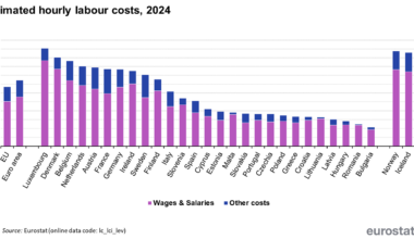 Hourly labour costs, 2024