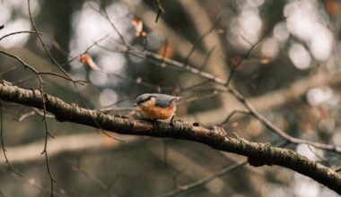 Kleiner Spaziergang zum Sonntag