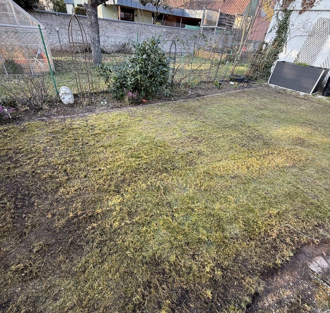 Garten komplett vermost