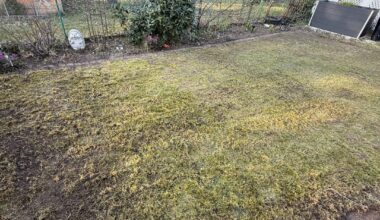 Garten komplett vermost
