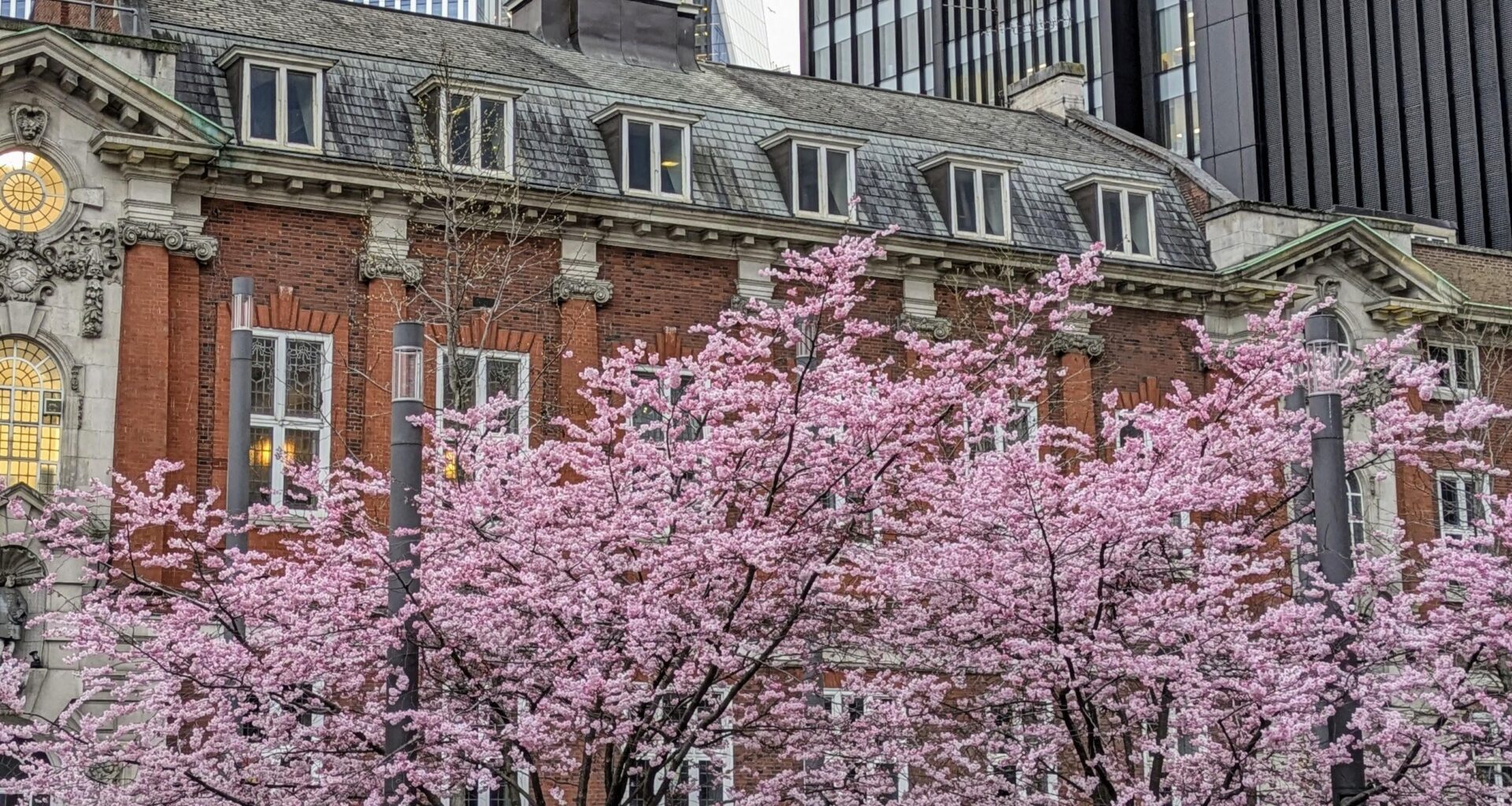 Aldgate Square in blossom