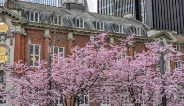 Aldgate Square in blossom