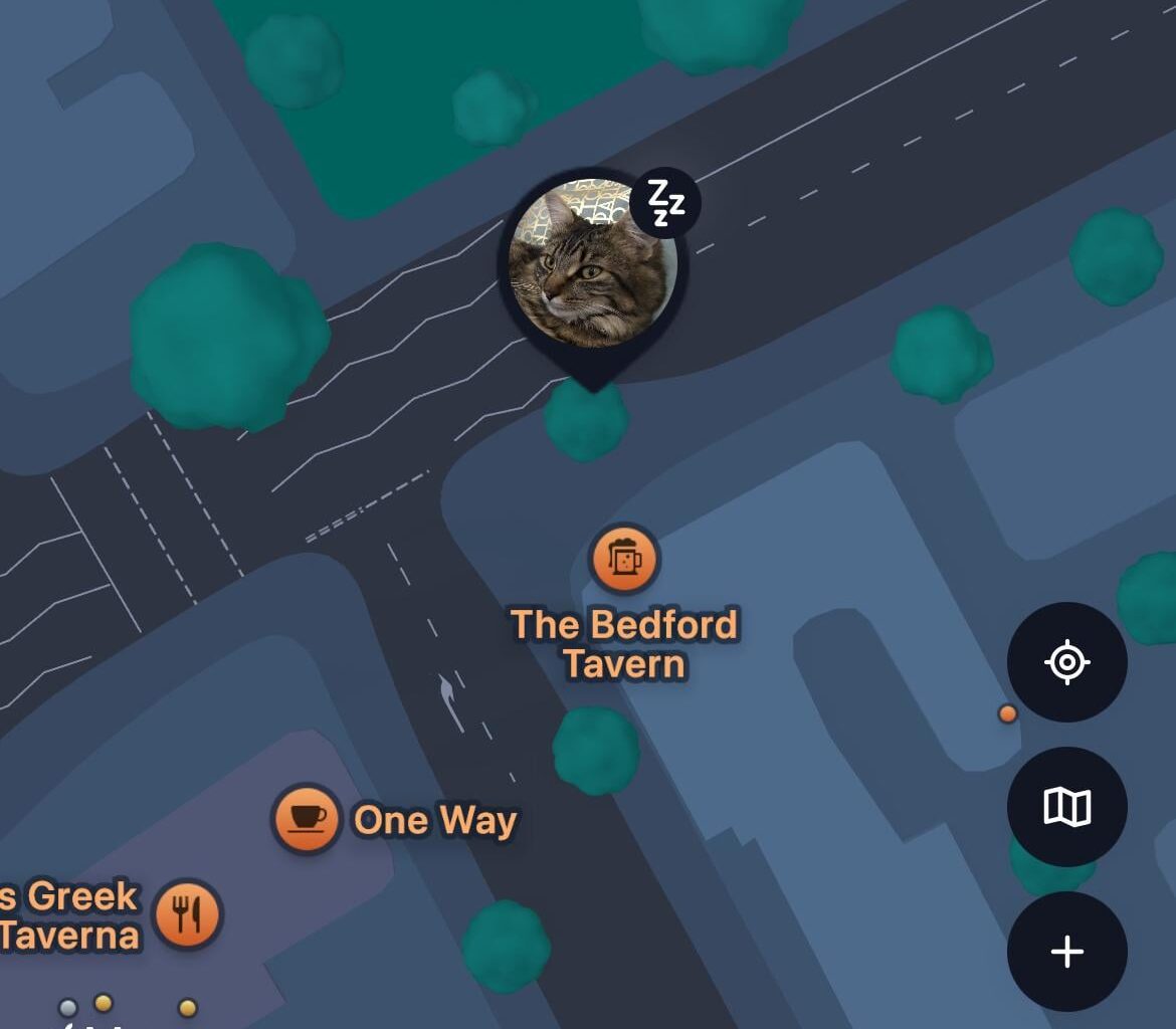 My cat's tracker came off in Shepherds bush and has ended up somewhere around the Bedford Tavern in N7 - anyone nearby able to see it?