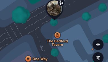 My cat's tracker came off in Shepherds bush and has ended up somewhere around the Bedford Tavern in N7 - anyone nearby able to see it?