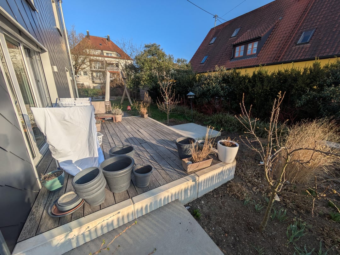 Birne Buschbaum - Wie schneiden?