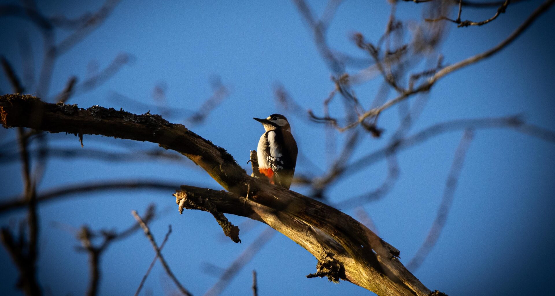 Heute im Wald gefunden