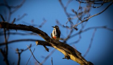 Heute im Wald gefunden